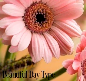 Beautiful Days* Fragrance Oil 19813