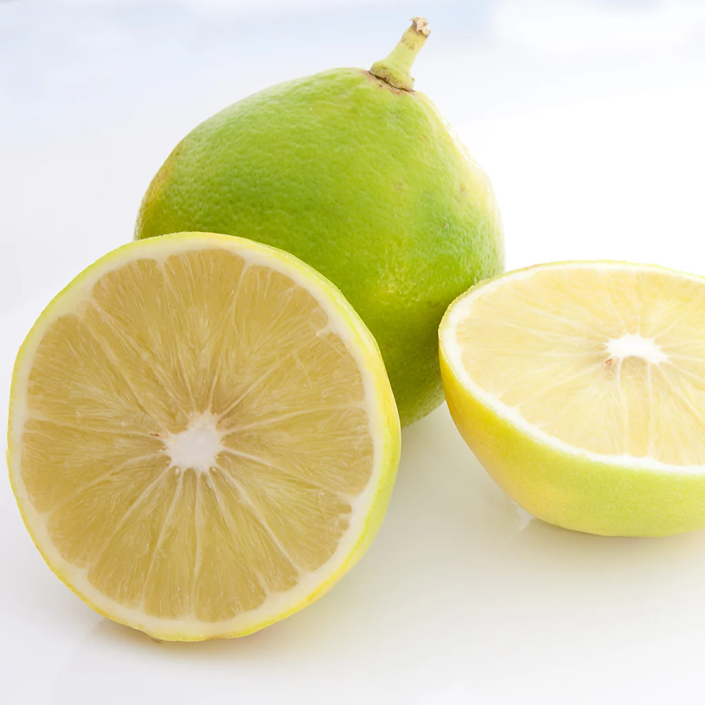Bergamot Essential Oil - 100% Pure 731