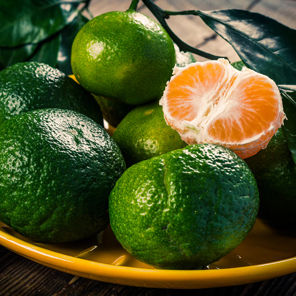 Bergamot & Mandarin* Fragrance Oil 190