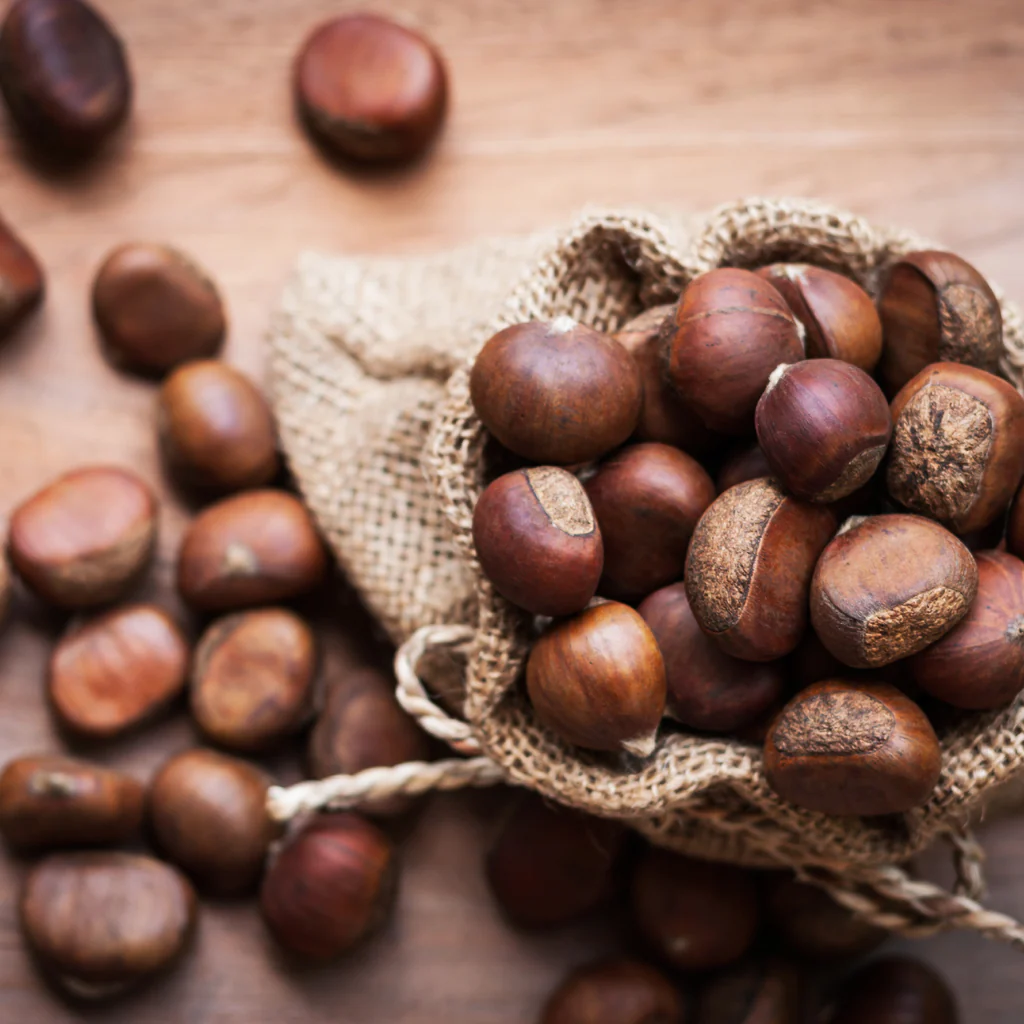 Chestnuts & Brown Sugar Fragrance Oil 402