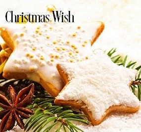 Christmas Wish* Fragrance Oil 19920