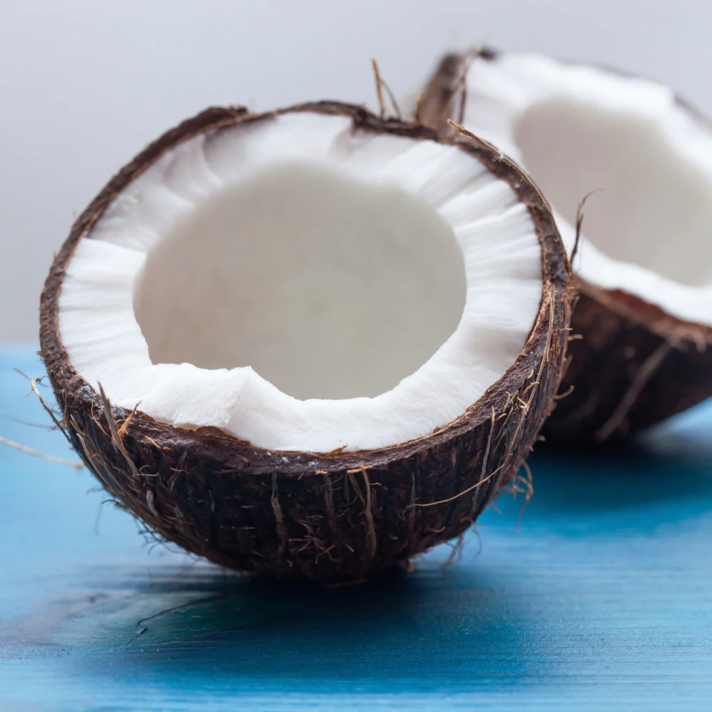 Coconut & Blue Agave Fragrance Oil 842