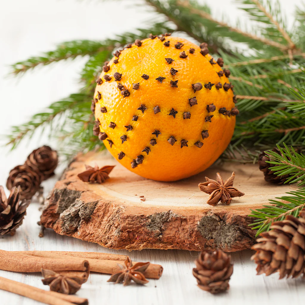 Pomander & Peppercorn - Natural Fragrance Oil (SO)